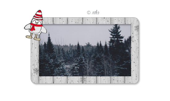 1325179679_praprpr (550x327, 159Kb)