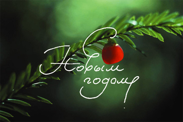 3309684_ng2012 (600x400, 44Kb)