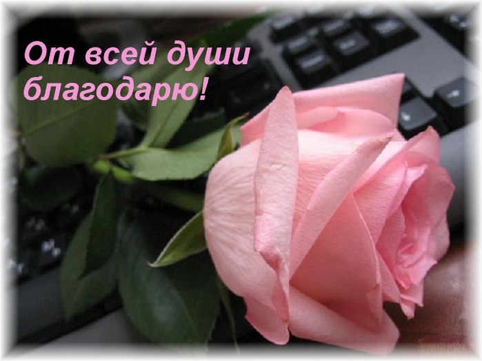 7043068413 (699x524, 198Kb)