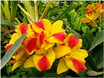  Picture 9063 copy (600x451, 274Kb)