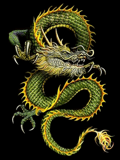 3623822_Amazing_Animated_4_41 (240x320, 163Kb)
