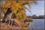  0_13f06_cf10df6f_L (500x337, 178Kb)