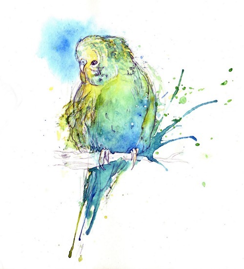 tumblr_lo5h5y8m8M1qadql4o1_500_large (500x551, 58Kb)