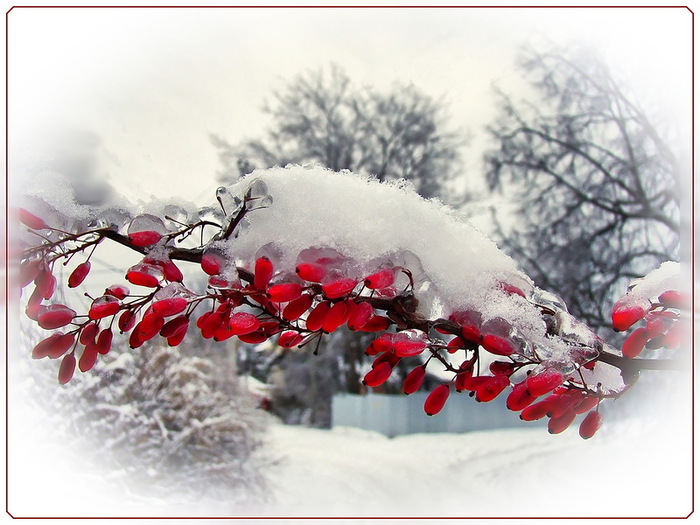 0_6a691_926f5d56_XL (700x525, 117Kb)