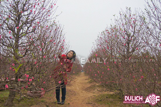 31122011AfamilyDLhoadaonhattan15_7f83b (550x366, 296Kb)