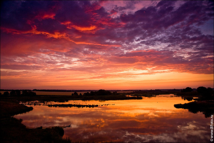 bfoto_ru_1458 (700x467, 116Kb)