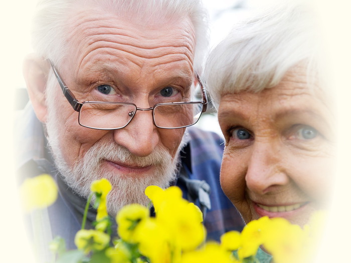 3649429_59646412_pensioner (700x525, 87Kb)