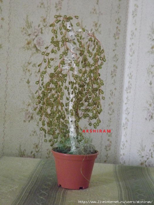 DSCF2333 (525x700, 219Kb)