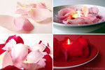  valentine-decor-candy-n-flowers8 (500x334, 31Kb)