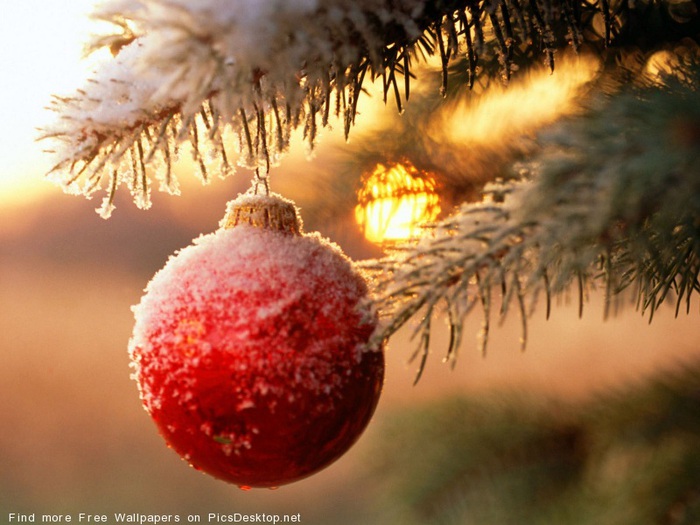 PicsDesktop.net_150 (700x525, 113Kb)