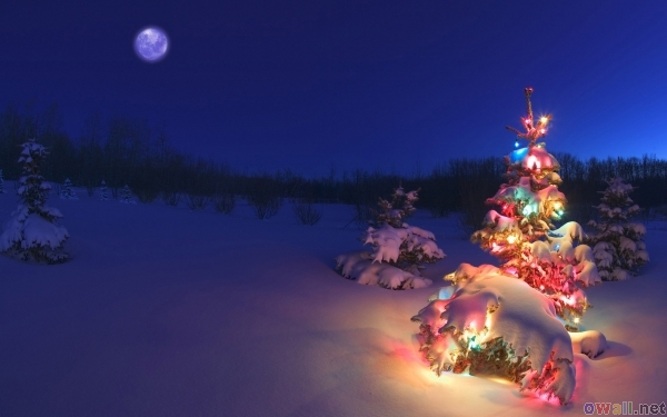 2222299_thumb3_christmas_night_3 (600x375, 130Kb)