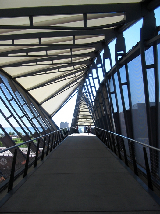 3623822_1299902771_helix_seattle2 (525x700, 281Kb)