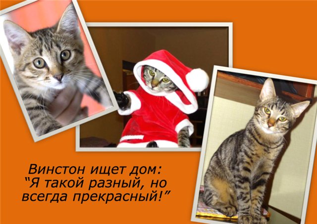  (640x453, 60Kb)