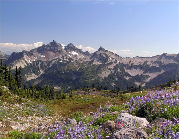 0_8f0a7_e5bbbe2c_XL (700x541, 147Kb)