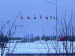  DSCN5605 (700x525, 446Kb)