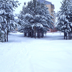  DSCN5646 (700x700, 699Kb)