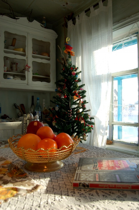 3392780_DSC_9785 (465x700, 236Kb)
