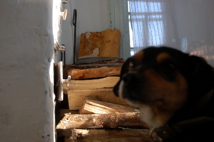 3392780_DSC_9788 (700x465, 72Kb)