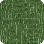 4079200_leather6 (170x170, 58Kb)