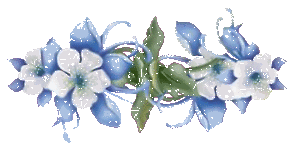 0971cbf7960e9cdce9d2b16b4ad9266e (300x154, 19Kb)