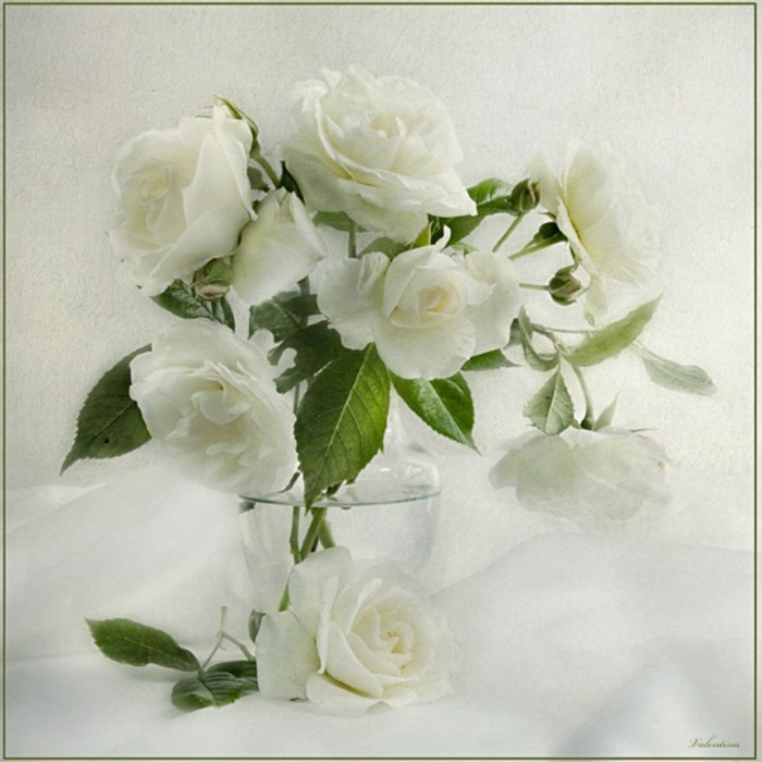 0_2fa98_d1ccf9ba_XL (700x700, 93Kb)