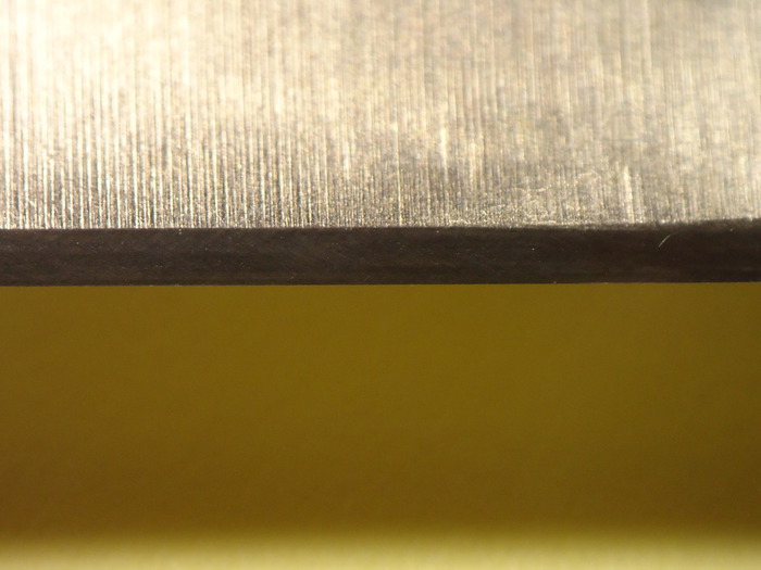 DSC03869 (700x525, 73Kb)