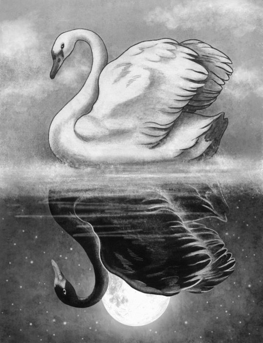 13 (538x700, 70Kb)