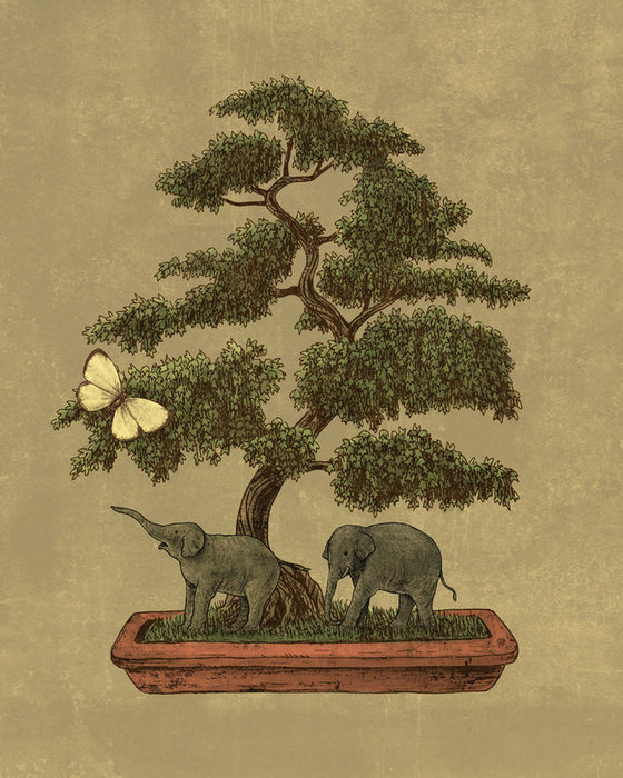 15 (560x700, 112Kb)