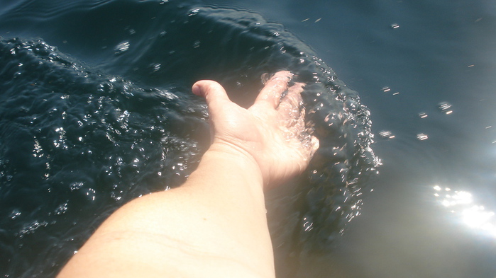 DSC06490 (700x393, 117Kb)