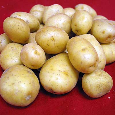 potatoes (400x400, 42Kb)