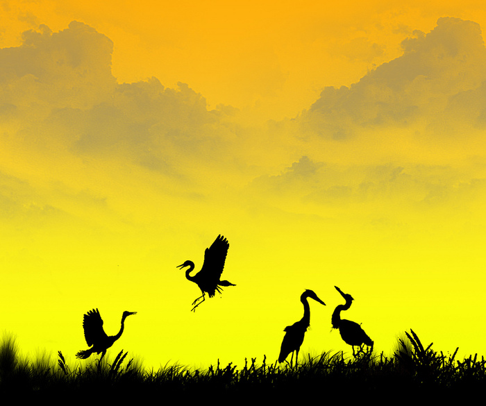 0_750eb_9c53436c_orig (700x585, 148Kb)