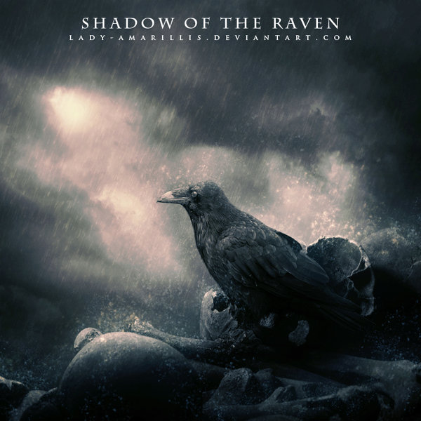 shadow_of_the_raven_by_lady_amarillis-d47ojks (600x600, 67Kb)