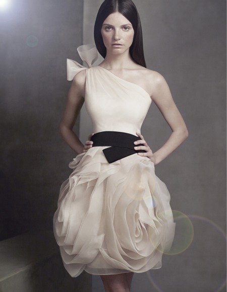 0623-2-VW360012PR_20_091-vera-wang-white-label-vera-wang-for-davids-bridal-bridesmaid-dresses_we (450x580, 54Kb)