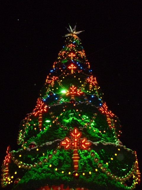3527967_P1000903 (480x640, 190Kb)