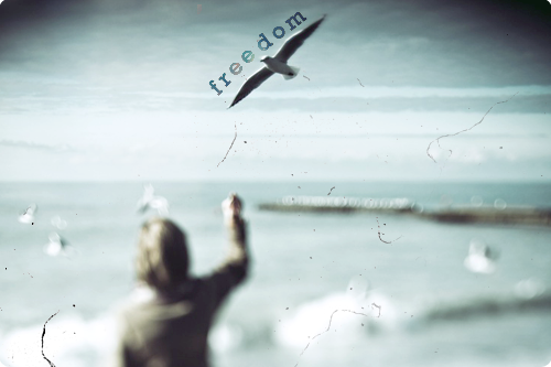 3051822_freedom (500x333, 179Kb)