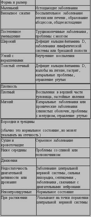 Scr03 (295x700, 67Kb)