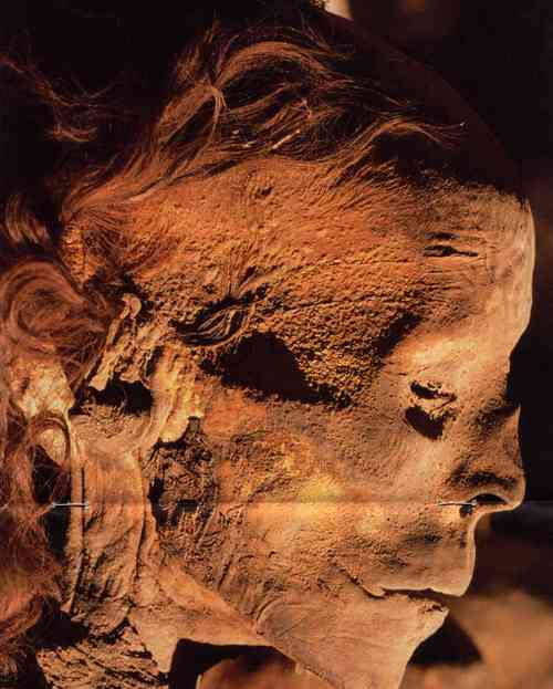 2 (500x623, 31Kb)