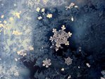  beautiful_snowflakes_17 (700x525, 77Kb)