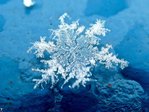  beautiful_snowflakes_33 (700x525, 74Kb)