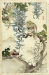  Bairei Flower and Bird Prints 1899 1 (263x400, 52Kb)