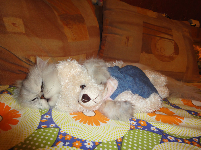 DSC00807-1 (700x525, 155Kb)