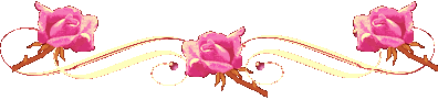 r41ty2xr (396x91, 8Kb)
