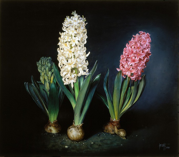 SPRING HYACINTS  46x53 cms Oil on canvas 1998 (700x613, 90Kb)