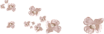 0_85779_1aeb110d_S.jpg (150x50, 9Kb)