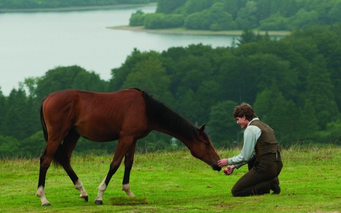 War-Horse-1735474 (700x437, 69Kb)
