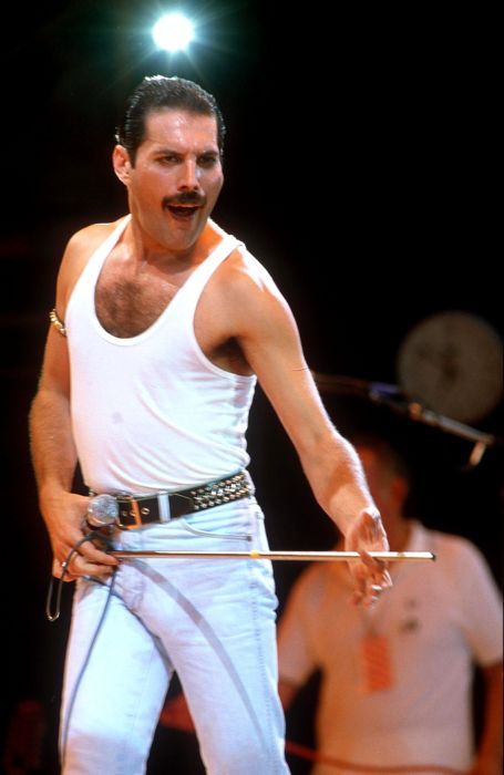 Freddie Mercury Pictures (455x700, 40Kb)