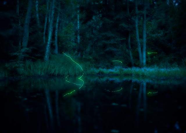 00000006 (640x457, 55Kb)