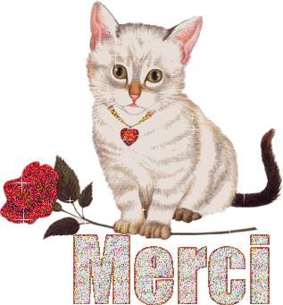merci (317x341, 76Kb)