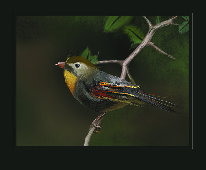 Ptichka_ (700x578, 351Kb)