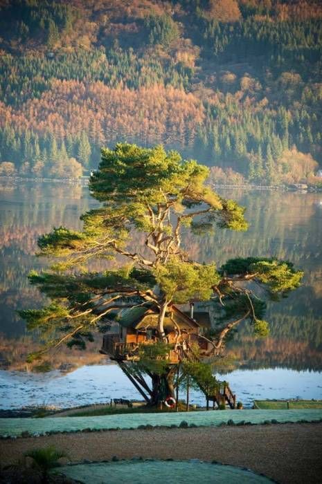 199847302184169511_tzmnDmlr_c (465x700, 102Kb)